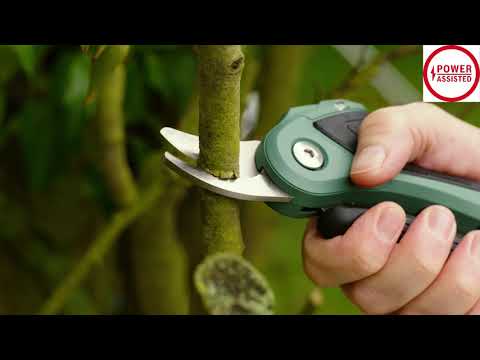 Bosch EasyPrune Cordless Pruner 3.6V, USB-Charged